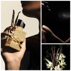 ysl fragrances